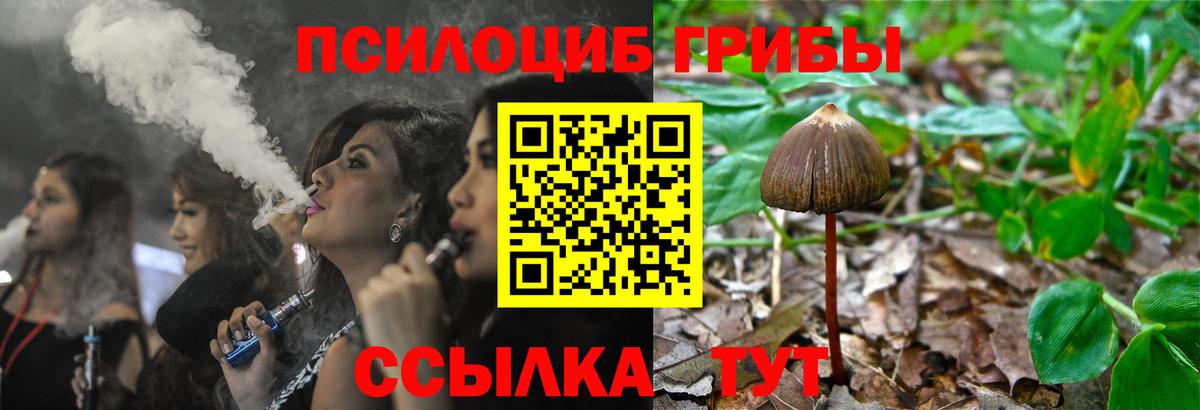 Галлюциногенные грибы Magic Shrooms  Вход с VPN  Ирбит 